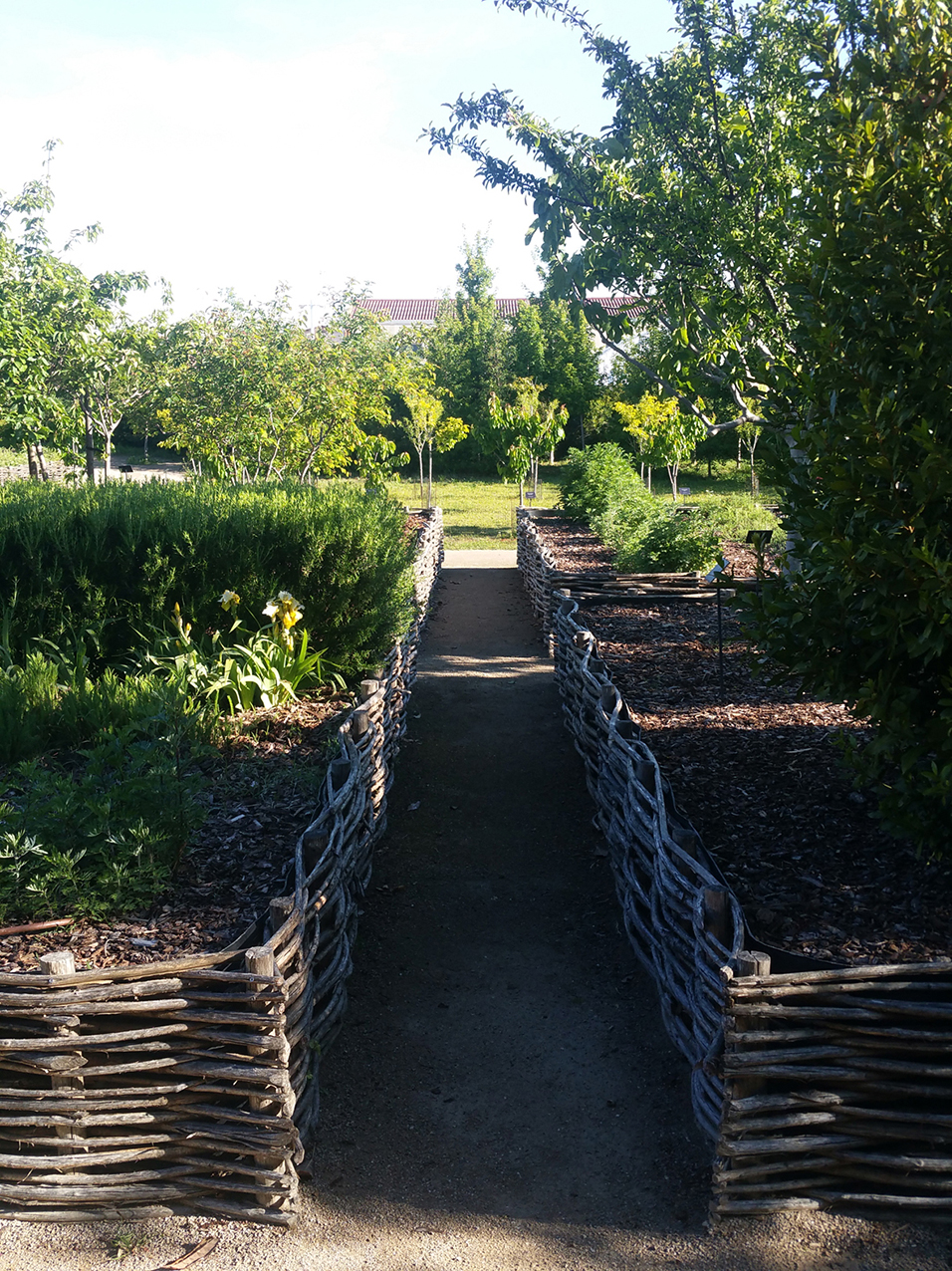 Conception d'un arboretum à Lunel - Città urbanisme et paysage